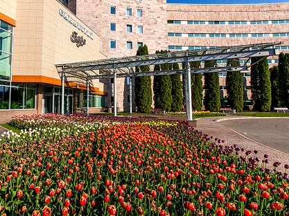 Санаторий «Заря», Кисловодск. Территория